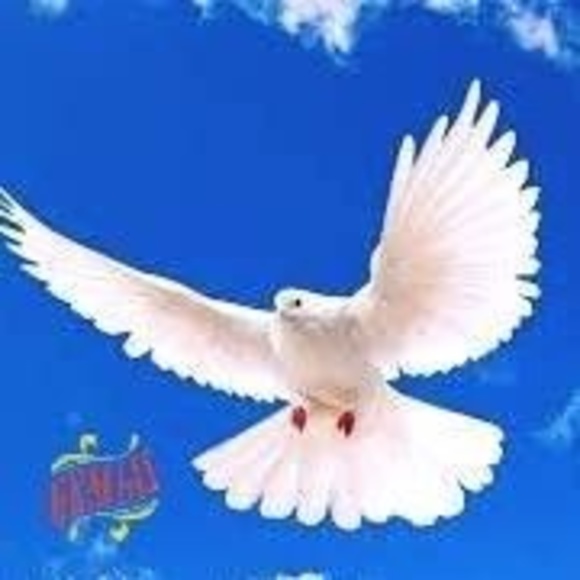 Meet your Posher, Fowodu - Picture 1 of 1